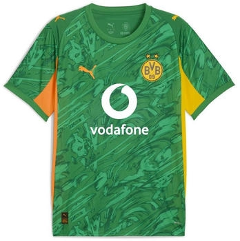 Puma Borussia Dortmund Torwarttrikot grün 2025/2026