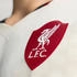 Adidas FC Liverpool Auswärtstrikot Authentic 2025/2026