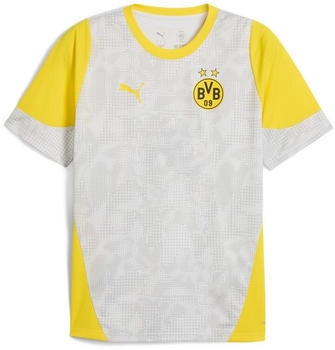 Puma Borussia Dortmund Trainings-Shirt grau 2025/2026