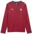 Puma Portugal Trikot 2026