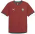Puma Portugal Heimtrikot Authentic 2026