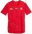 Puma Schweiz Trikot 2026