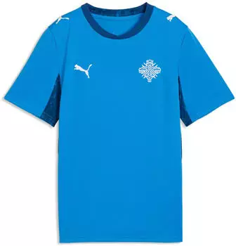 Puma Island Heimtrikot Kinder 2026