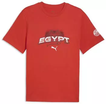 Puma ftblCulture Relaxed T-Shirt rot