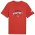 Puma ftblCulture Relaxed T-Shirt rot