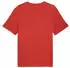 Puma ftblCulture Relaxed T-Shirt rot