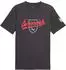 Puma ÖFB 2026 Culture T-Shirt (783901-25) flat dark gray/puma white