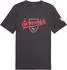Puma ÖFB 2026 Culture T-Shirt (783901-25) flat dark gray/puma white
