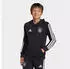 Adidas DNA Hoodie (JZ9333) schwarz