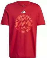 adidas FC Bayern M&uuml;nchen DNA Graphic T-Shirt 2024/25 Herren IS6509 - team...