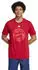 Adidas FC Bayern Graphic DNA T-Shirt (IS6509) team power red 2
