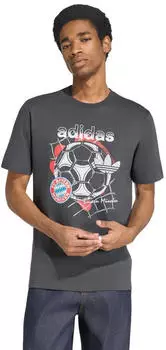 Adidas FC Bayern M&uuml;nchen OG2 Graphic Tee grau/blau/graphit/rot/wei&szlig;