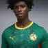Puma Senegal Auswärtstrikot 2026