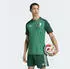 Adidas Algerien Auswärtstrikot Authentic 2026