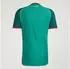 Adidas Algerien Auswärtstrikot Authentic 2026