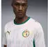 Puma Senegal Trikot 2026