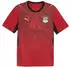 Puma Ägypten Trikot 2026