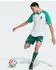 Adidas Algerien Pre-Match-Trikot 2026
