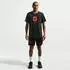 Nike Paris Saint-Germain T-Shirt Herren (IH2189-010) schwarz