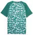Puma Portugal Pre-Match Trikot grün 2026