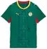 Puma Senegal Trikot Damen 2026