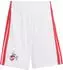 Adidas 1. FC Köln Heimtrikot Minikit 2026/2027