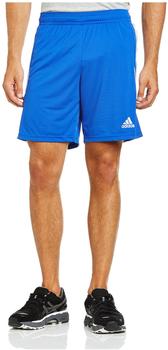 Adidas Squadra 13 Shorts blau