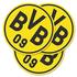 BVB Bierdeckel Logo-Bierdeckel 50er-Set