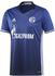 Adidas Schalke Trikot 2017