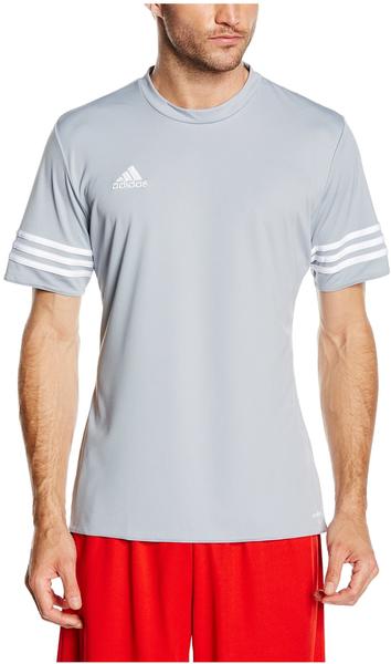 adidas Trikot ENTRADA 14 - SILVER/WHT, Größe adidas:XXL