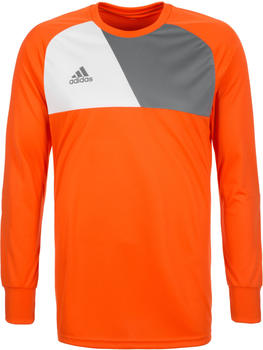 Adidas Assita 17 Torwarttrikot orange/grau