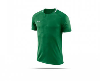 Nike Challenge II Trikot kurzarm (893964-341) gr&uuml;n