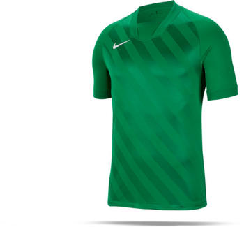 Nike Challenge III Trikot kurzarm (BV6703-302) grün