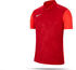 (BV6725-657) rot