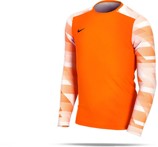 Nike Park IV Torwart Trikot langarm Kinder (CJ6072-819) orange