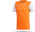 (DP3236) orange