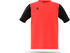Adidas Estro 19 Trikot kurzarm Kinder (DP32k)