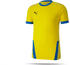 Puma teamGOAL 23 Trikot kurzarm (704171)