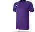 Puma teamGOAL 23 Trikot kurzarm (704171)