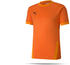 Puma teamGOAL 23 Trikot kurzarm (704171)