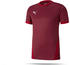 Puma teamGOAL 23 Trikot kurzarm (704171)