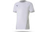 Puma teamGOAL 23 Trikot kurzarm (704171)