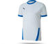 Puma teamGOAL 23 Trikot kurzarm (704171)