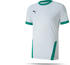 Puma teamGOAL 23 Trikot kurzarm (704171)
