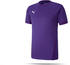 Puma teamGOAL 23 Trikot kurzarm Kinder (704160)