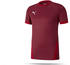 Puma teamGOAL 23 Trikot kurzarm Kinder (704160)