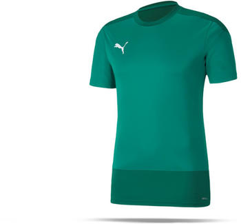 Puma teamGOAL 23 Training Trikot (656482-005) grün