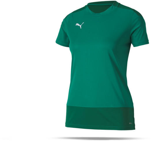 Puma teamGOAL 23 Training Trikot Damen (656940-005) grün