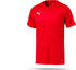Puma LIGA Core Trikot kurzarm (703509)