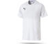Puma LIGA Core Trikot kurzarm (703509)